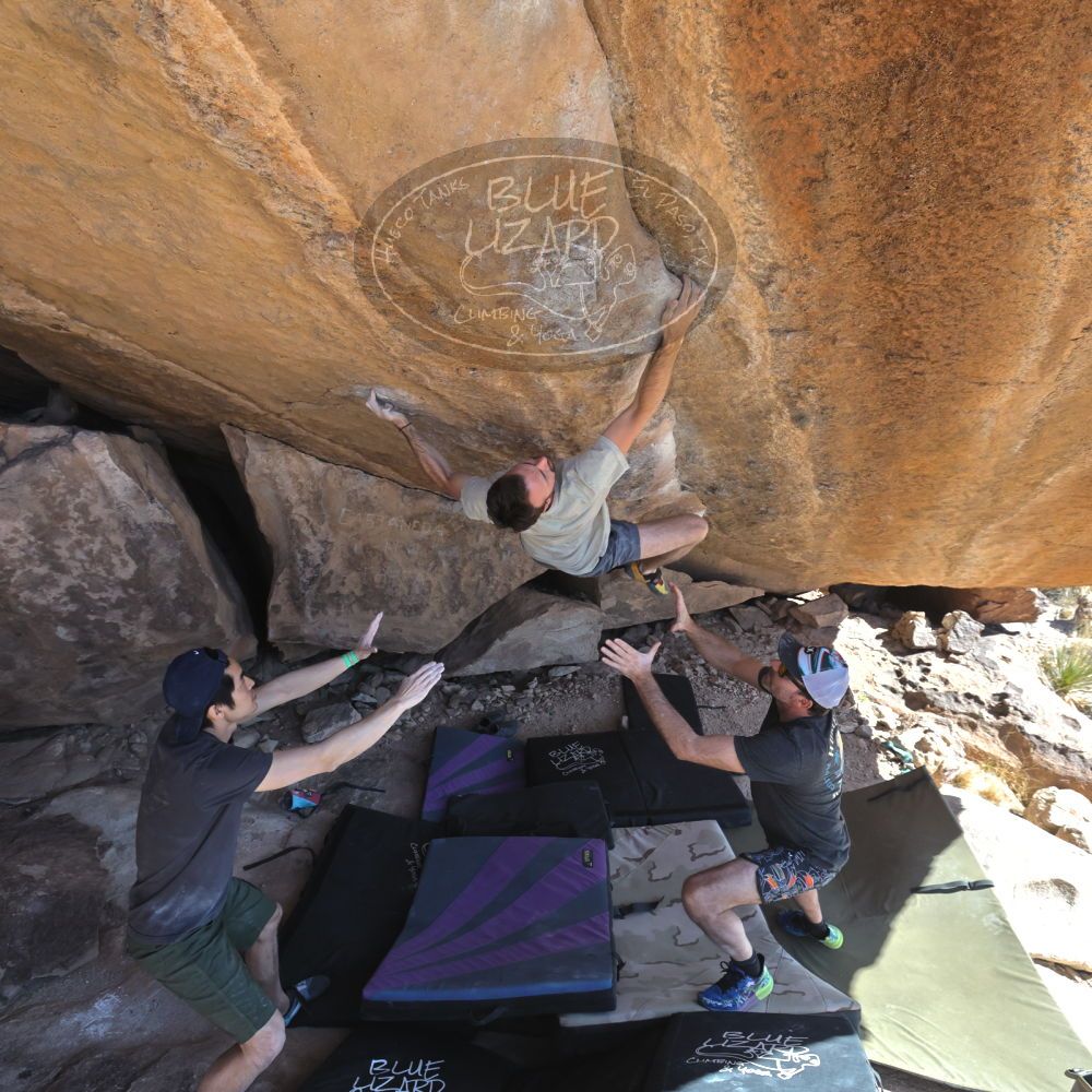 

Filename: SRM_20230306_1409050.jpg
Aperture: f/5.6
Shutter Speed: 1/500
Body: Canon EOS R6
Lens: Canon EF 16-35mm f/2.8 L