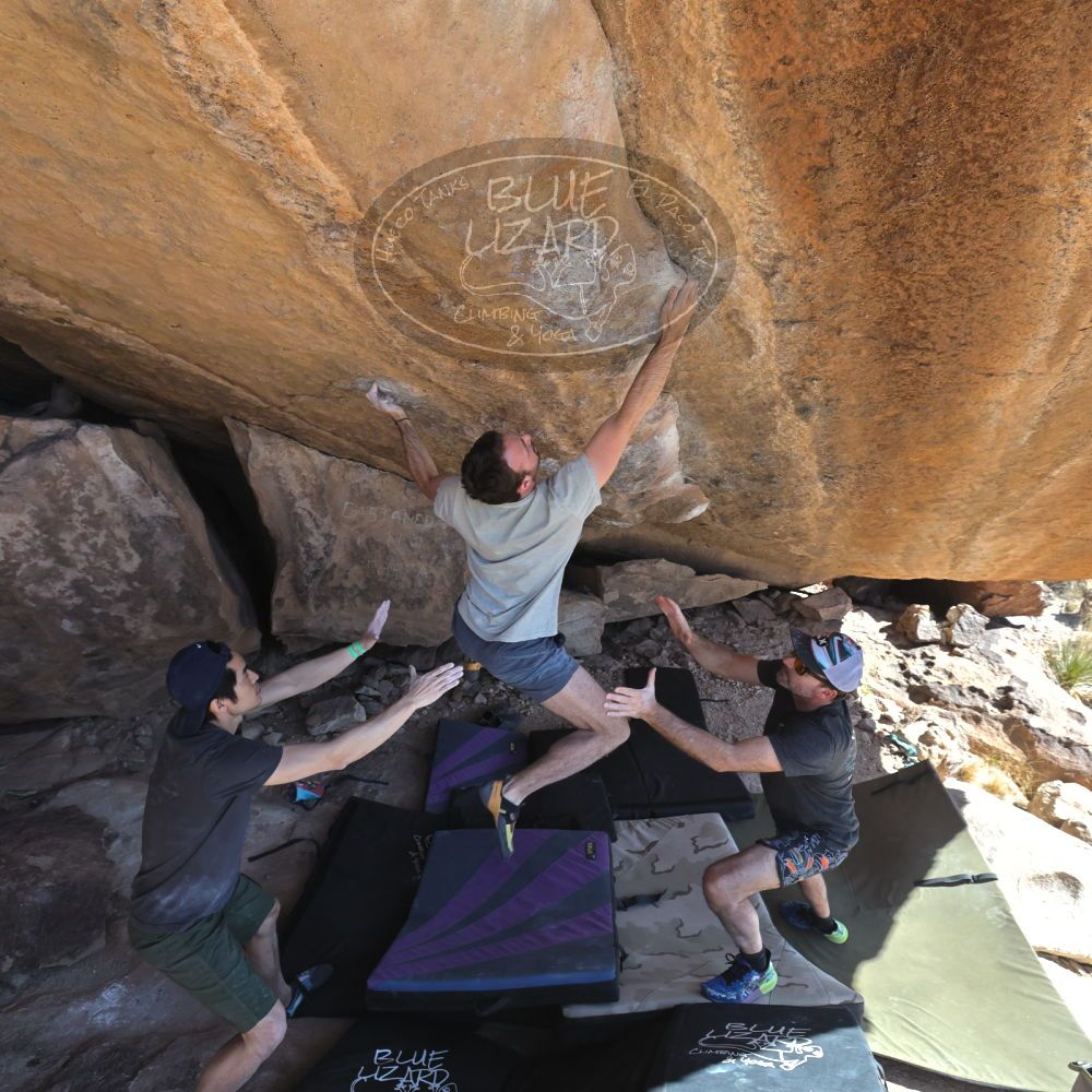 

Filename: SRM_20230306_1409052.jpg
Aperture: f/5.6
Shutter Speed: 1/500
Body: Canon EOS R6
Lens: Canon EF 16-35mm f/2.8 L