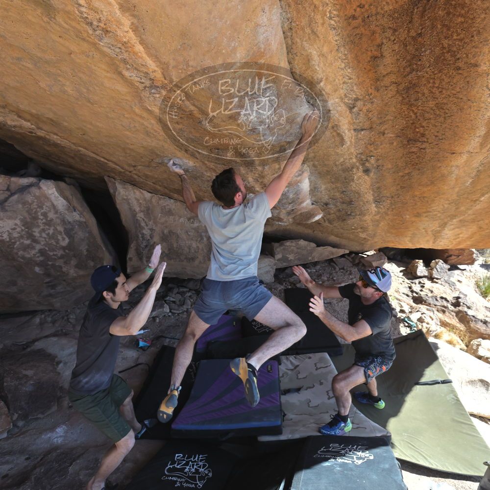 

Filename: SRM_20230306_1409054.jpg
Aperture: f/5.6
Shutter Speed: 1/500
Body: Canon EOS R6
Lens: Canon EF 16-35mm f/2.8 L