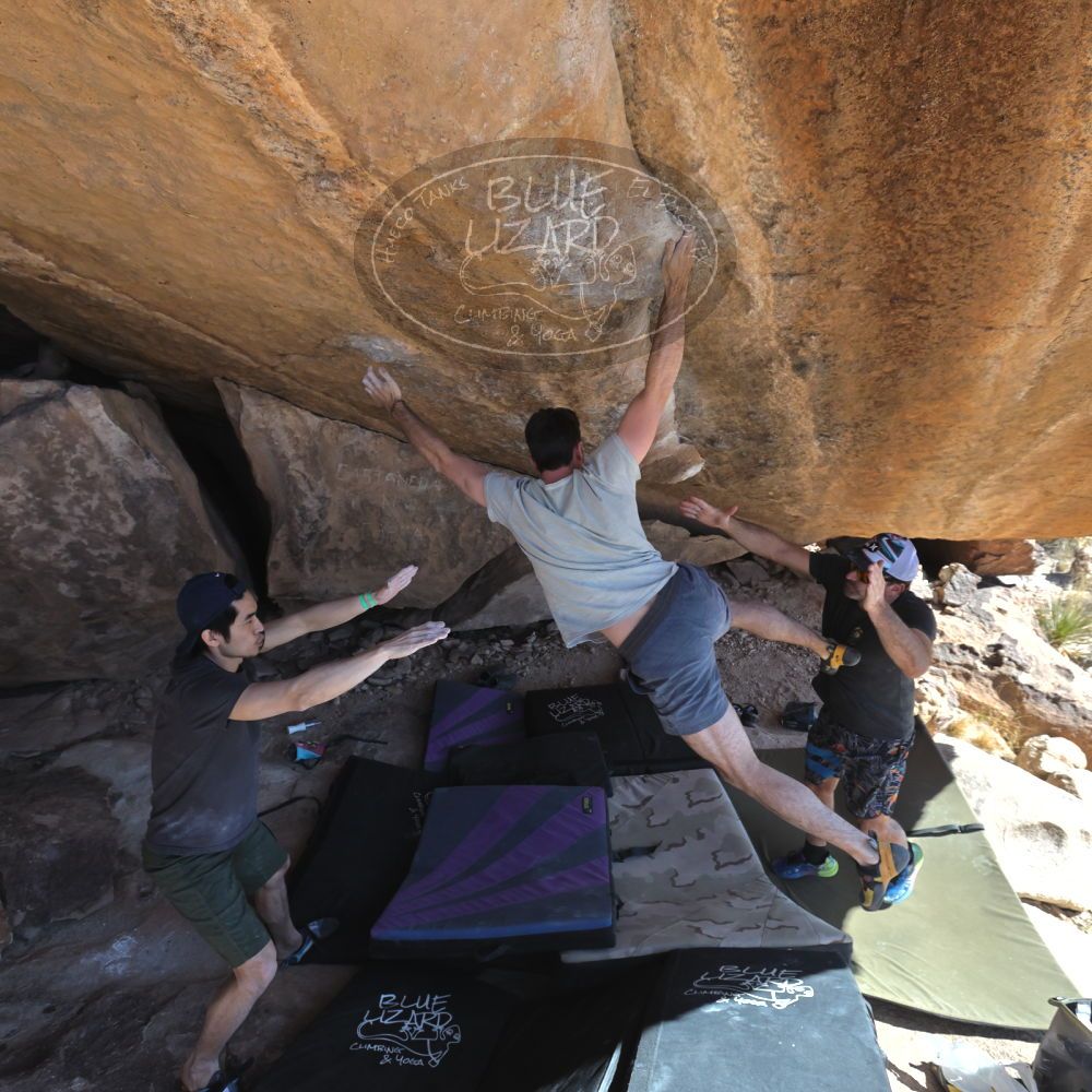 

Filename: SRM_20230306_1409062.jpg
Aperture: f/5.6
Shutter Speed: 1/500
Body: Canon EOS R6
Lens: Canon EF 16-35mm f/2.8 L