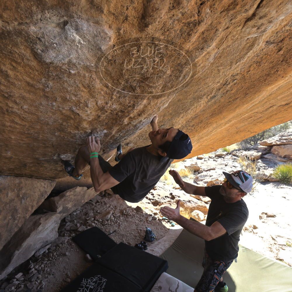 

Filename: SRM_20230306_1412210.jpg
Aperture: f/5.6
Shutter Speed: 1/500
Body: Canon EOS R6
Lens: Canon EF 16-35mm f/2.8 L