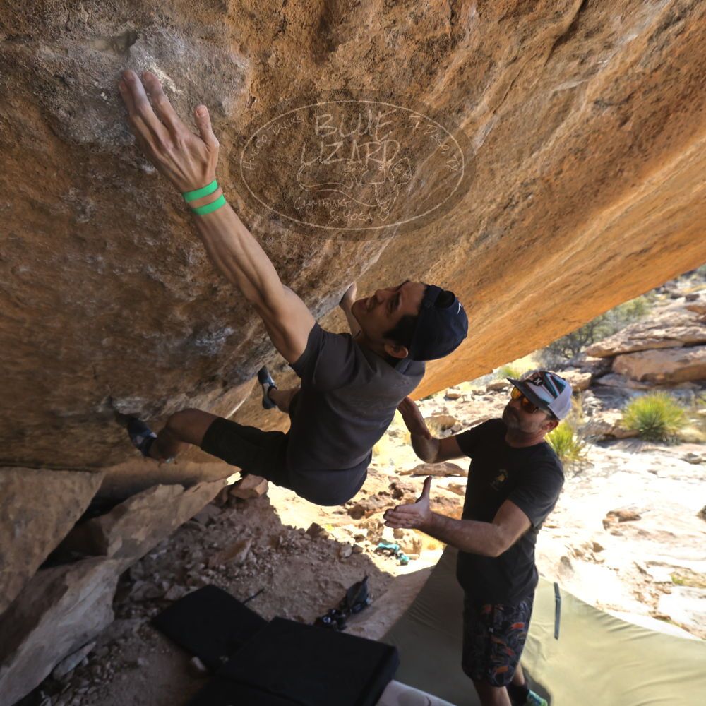 

Filename: SRM_20230306_1419571.jpg
Aperture: f/5.6
Shutter Speed: 1/500
Body: Canon EOS R6
Lens: Canon EF 16-35mm f/2.8 L