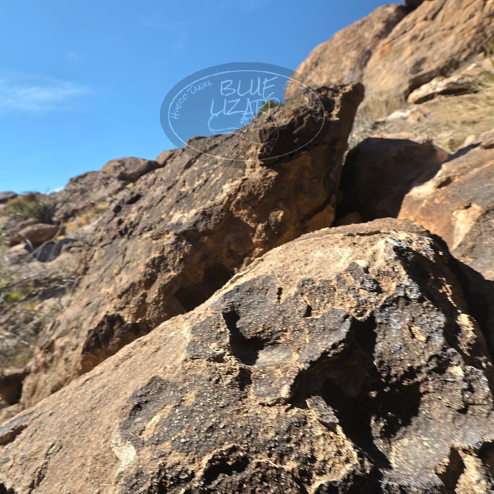 

Filename: SRM_20230306_1420250.jpg
Aperture: f/5.6
Shutter Speed: 1/500
Body: Canon EOS R6
Lens: Canon EF 16-35mm f/2.8 L