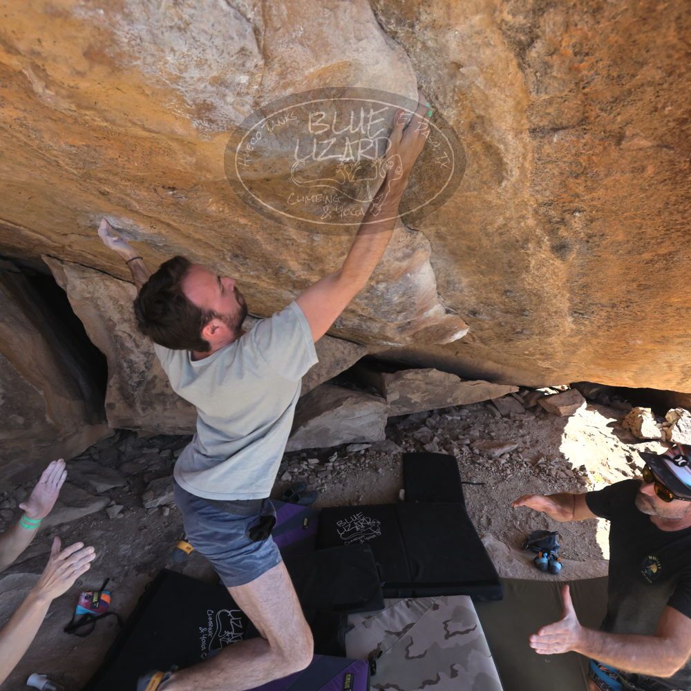 

Filename: SRM_20230306_1423043.jpg
Aperture: f/5.6
Shutter Speed: 1/500
Body: Canon EOS R6
Lens: Canon EF 16-35mm f/2.8 L