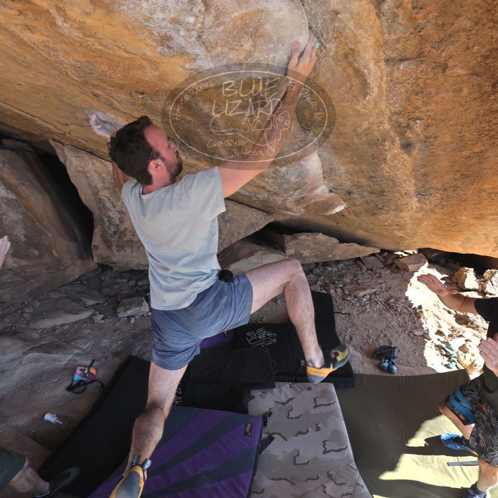 

Filename: SRM_20230306_1423050.jpg
Aperture: f/5.6
Shutter Speed: 1/500
Body: Canon EOS R6
Lens: Canon EF 16-35mm f/2.8 L