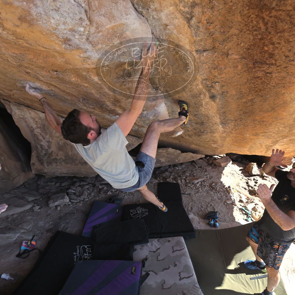 

Filename: SRM_20230306_1423054.jpg
Aperture: f/5.6
Shutter Speed: 1/500
Body: Canon EOS R6
Lens: Canon EF 16-35mm f/2.8 L