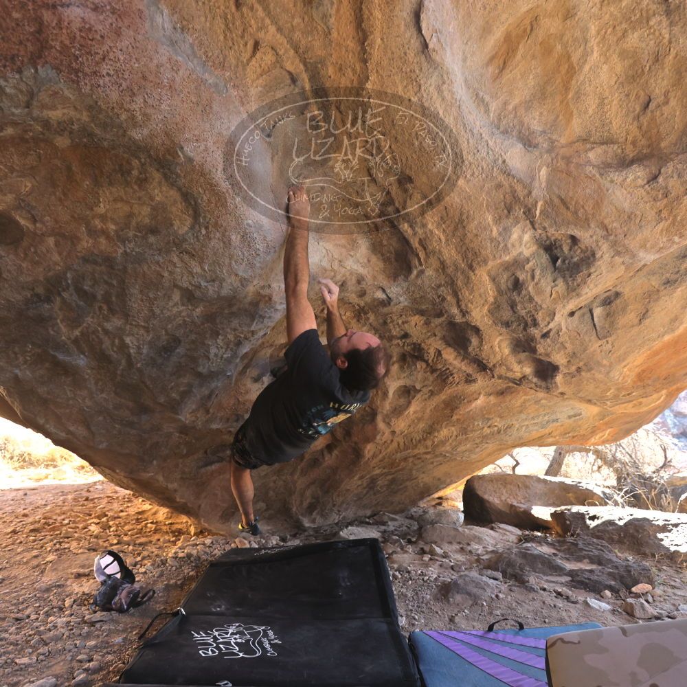 

Filename: SRM_20230306_1539310.jpg
Aperture: f/4.0
Shutter Speed: 1/320
Body: Canon EOS R6
Lens: Canon EF 16-35mm f/2.8 L