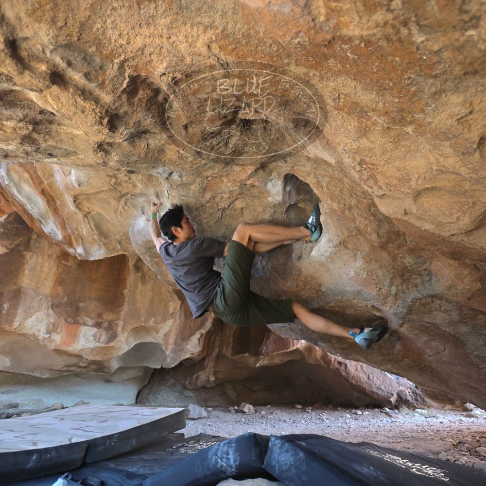 

Filename: SRM_20230306_1604120.jpg
Aperture: f/4.0
Shutter Speed: 1/320
Body: Canon EOS R6
Lens: Canon EF 16-35mm f/2.8 L