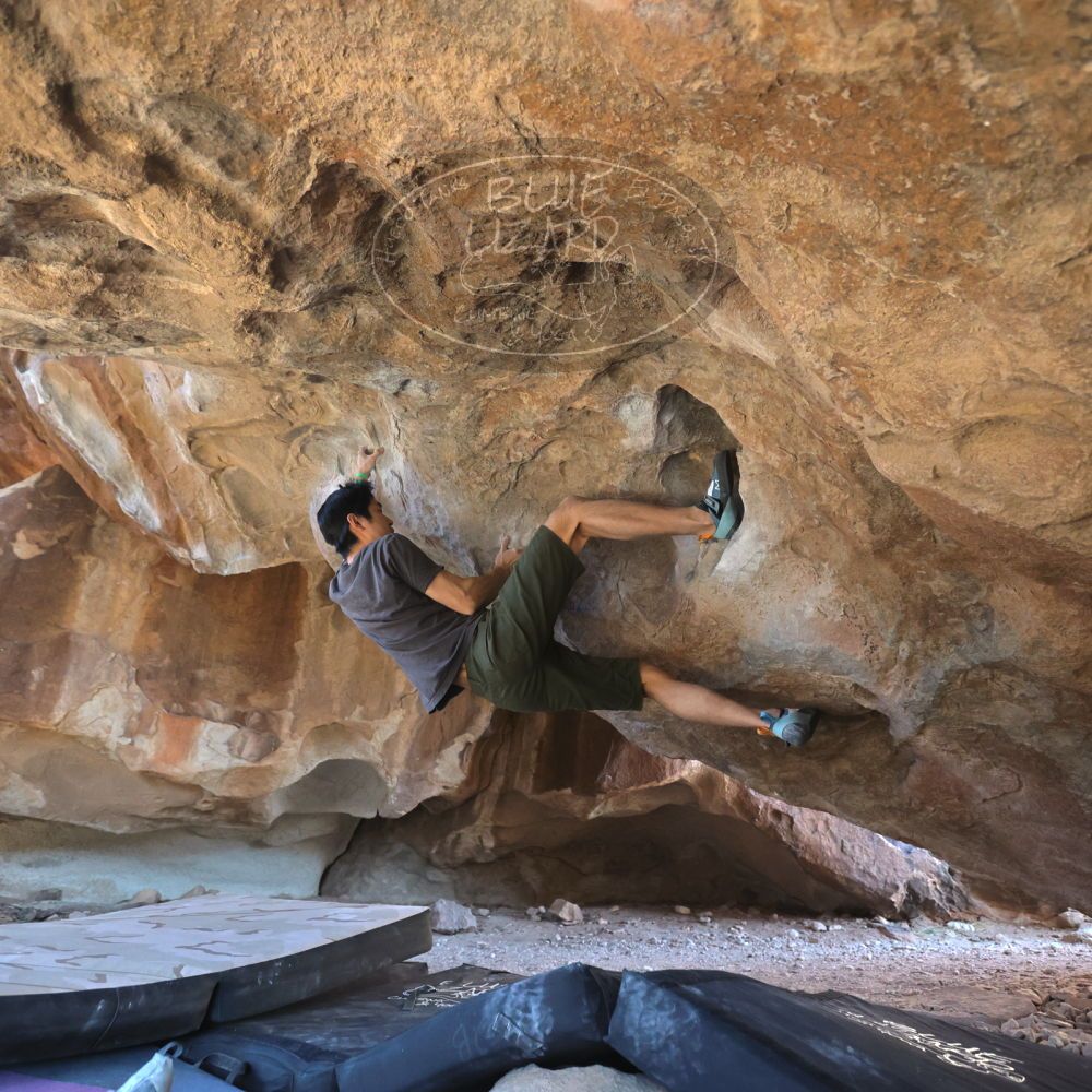 

Filename: SRM_20230306_1604130.jpg
Aperture: f/4.0
Shutter Speed: 1/320
Body: Canon EOS R6
Lens: Canon EF 16-35mm f/2.8 L