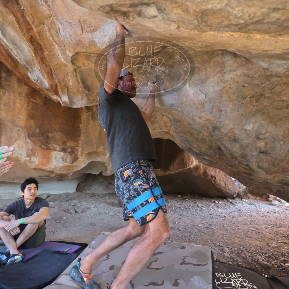 

Filename: SRM_20230306_1610001.jpg
Aperture: f/4.0
Shutter Speed: 1/320
Body: Canon EOS R6
Lens: Canon EF 16-35mm f/2.8 L