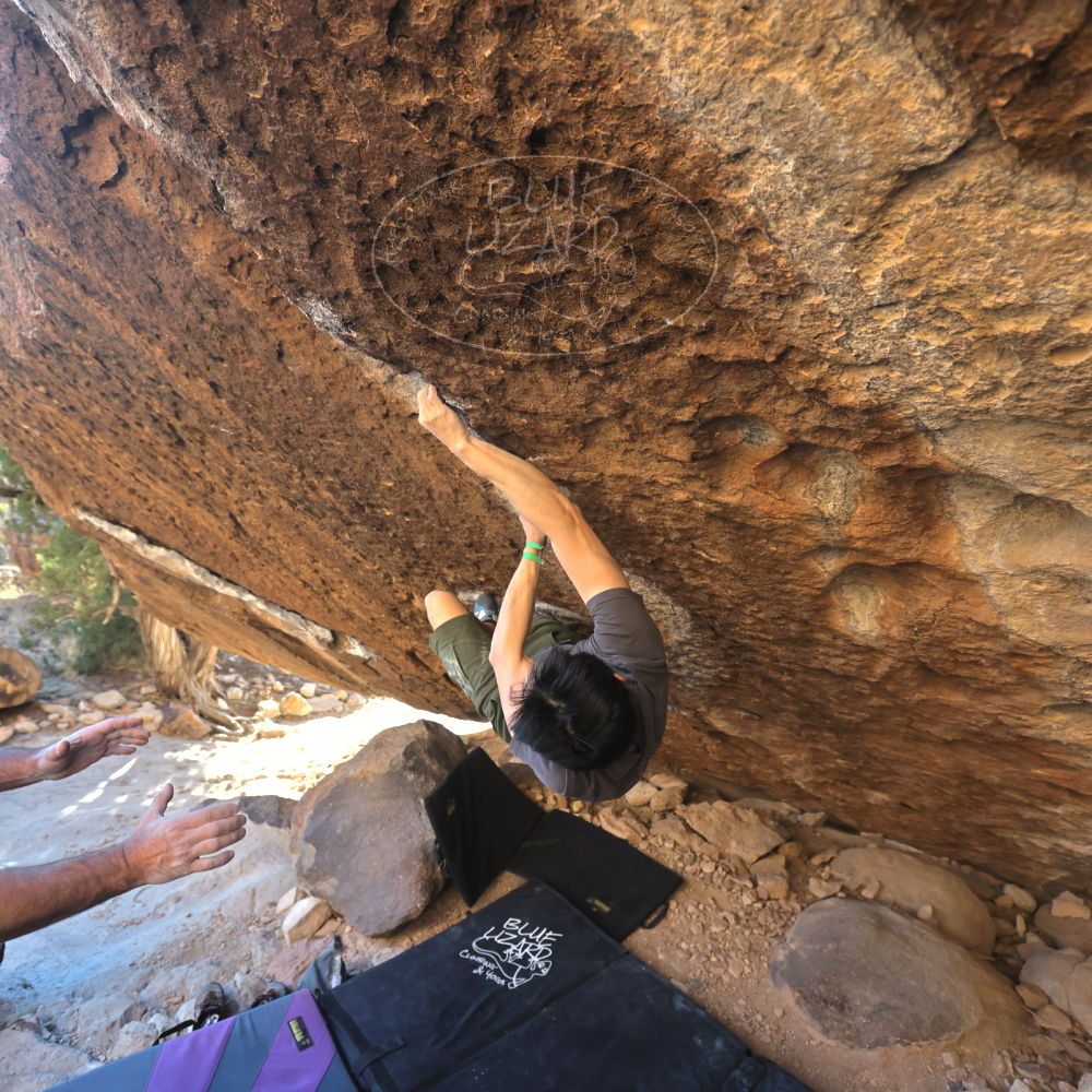 

Filename: SRM_20230306_1702280.jpg
Aperture: f/4.0
Shutter Speed: 1/320
Body: Canon EOS R6
Lens: Canon EF 16-35mm f/2.8 L