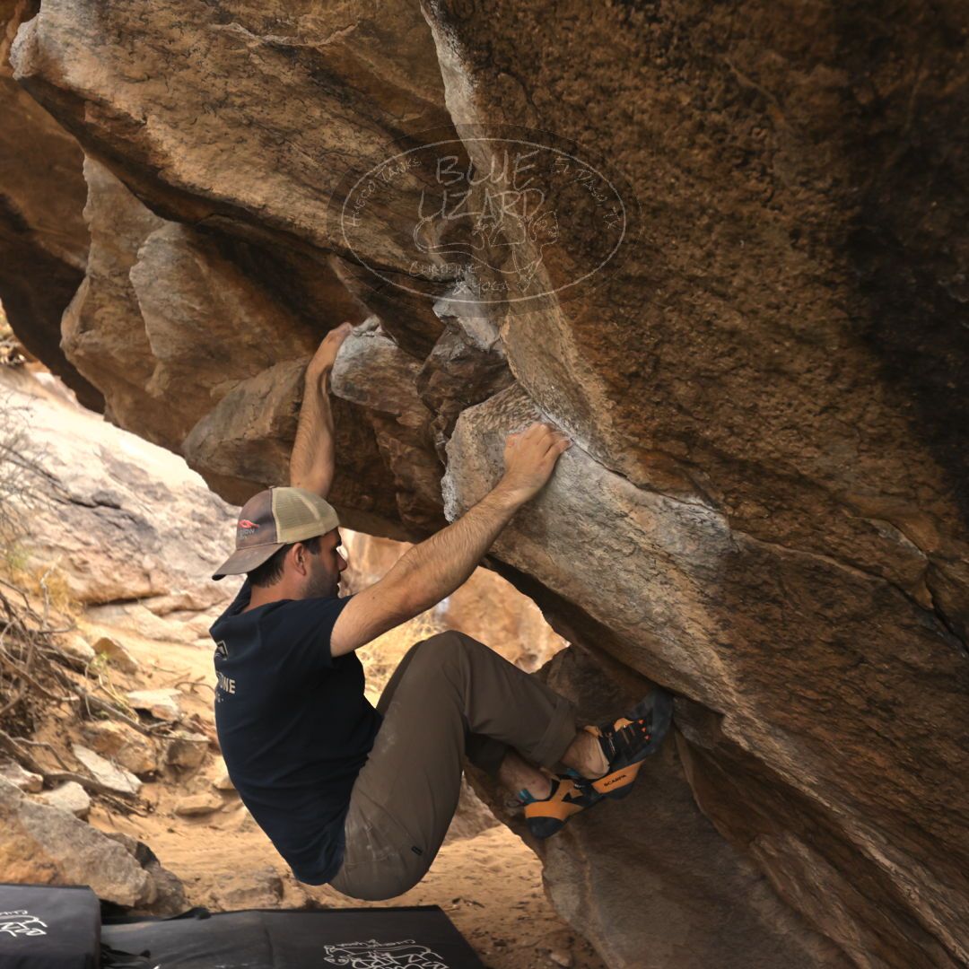 

Filename: SRM_20230309_0955050.jpg
Aperture: f/4.0
Shutter Speed: 1/320
Body: Canon EOS R6
Lens: Canon EF 16-35mm f/2.8 L