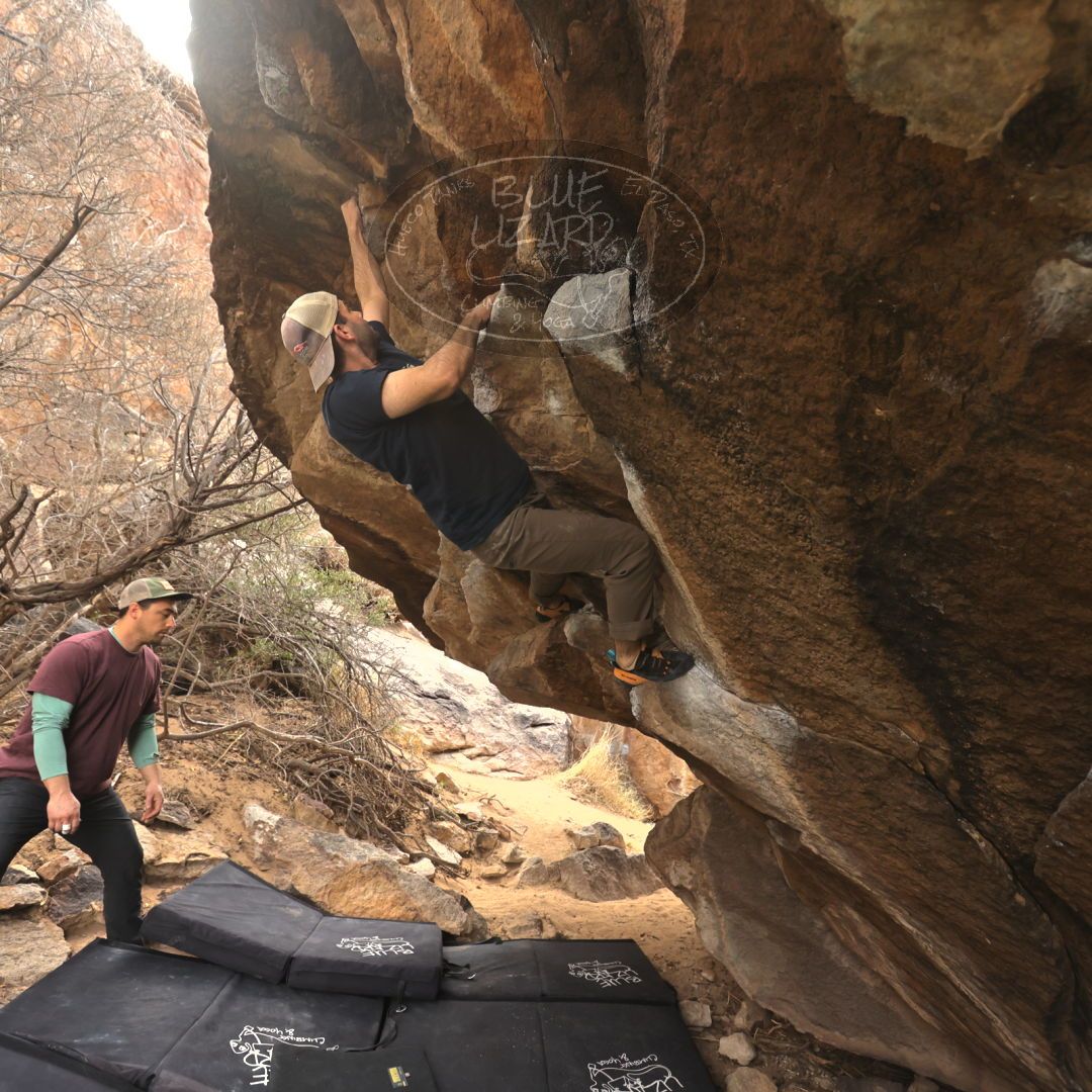 

Filename: SRM_20230309_0955340.jpg
Aperture: f/4.0
Shutter Speed: 1/320
Body: Canon EOS R6
Lens: Canon EF 16-35mm f/2.8 L