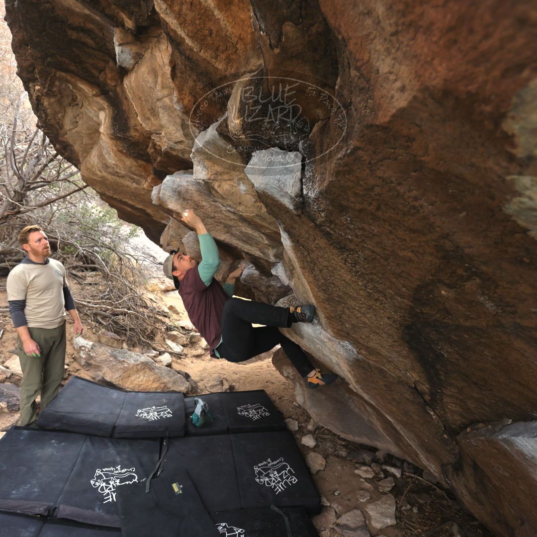 

Filename: SRM_20230309_1005040.jpg
Aperture: f/4.0
Shutter Speed: 1/320
Body: Canon EOS R6
Lens: Canon EF 16-35mm f/2.8 L