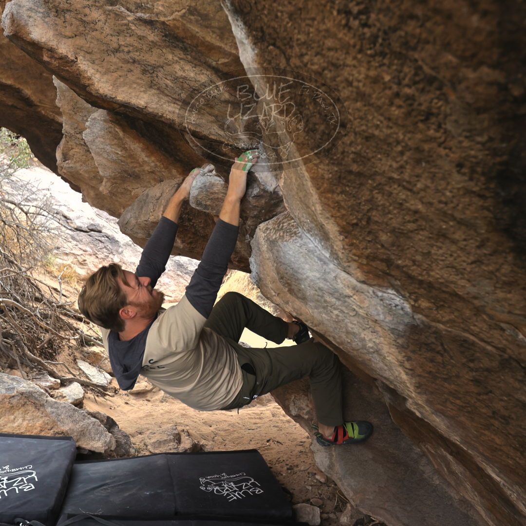 

Filename: SRM_20230309_1014550.jpg
Aperture: f/4.0
Shutter Speed: 1/320
Body: Canon EOS R6
Lens: Canon EF 16-35mm f/2.8 L