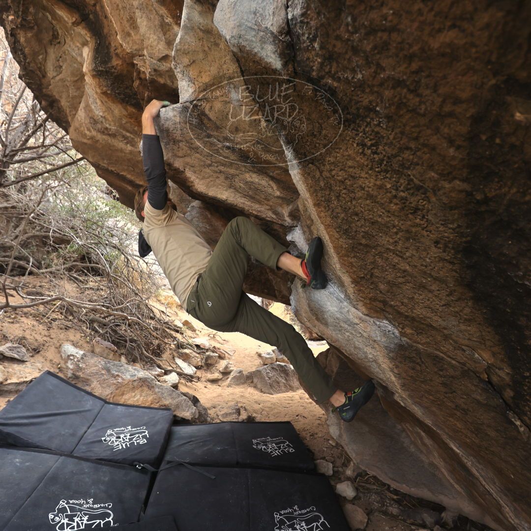 

Filename: SRM_20230309_1015120.jpg
Aperture: f/4.0
Shutter Speed: 1/320
Body: Canon EOS R6
Lens: Canon EF 16-35mm f/2.8 L