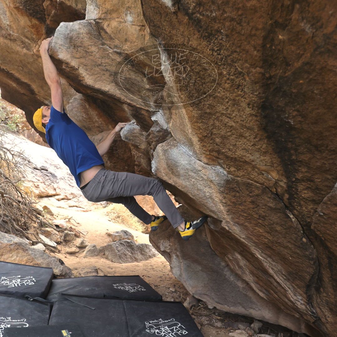 

Filename: SRM_20230309_1026060.jpg
Aperture: f/4.0
Shutter Speed: 1/320
Body: Canon EOS R6
Lens: Canon EF 16-35mm f/2.8 L