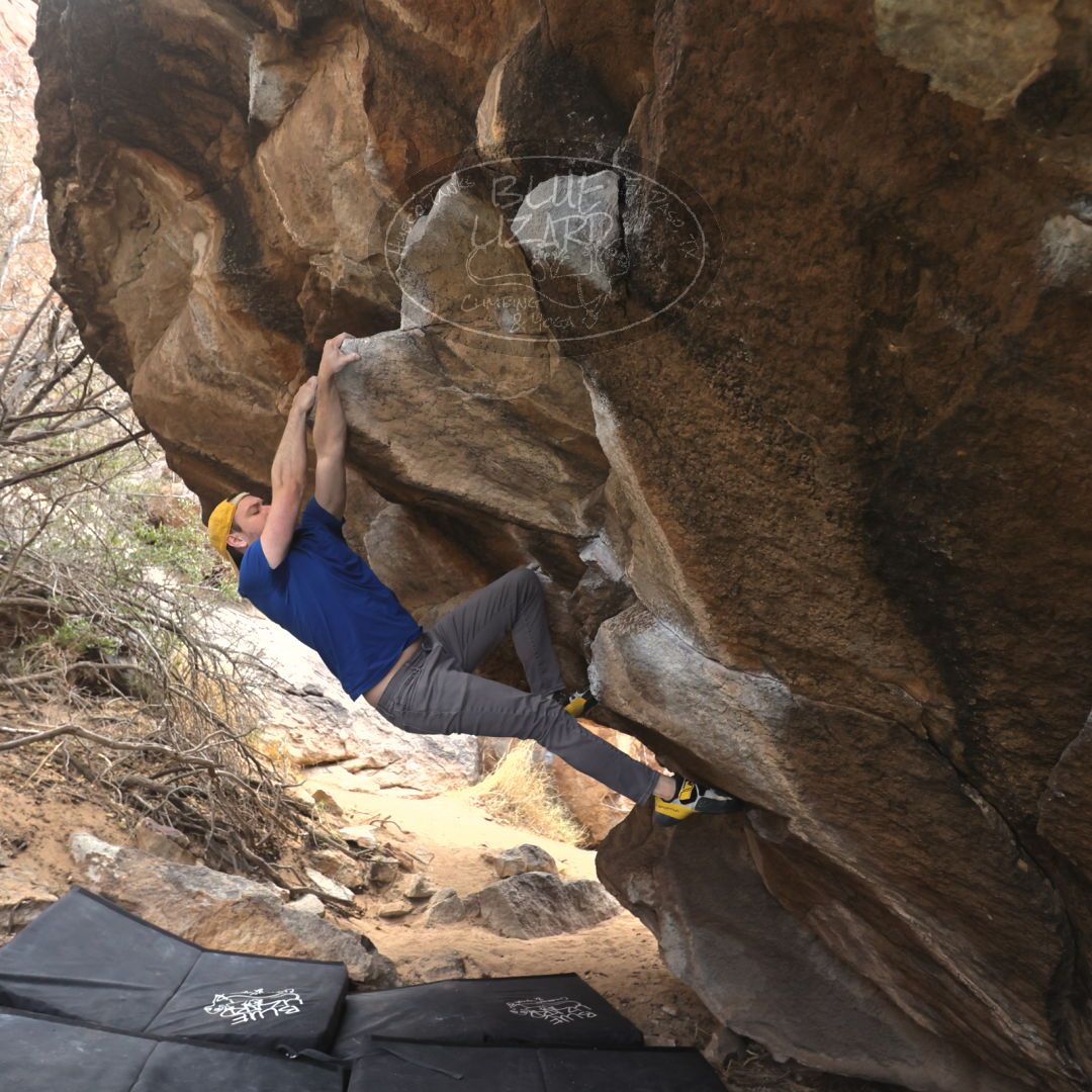 

Filename: SRM_20230309_1026141.jpg
Aperture: f/4.0
Shutter Speed: 1/320
Body: Canon EOS R6
Lens: Canon EF 16-35mm f/2.8 L