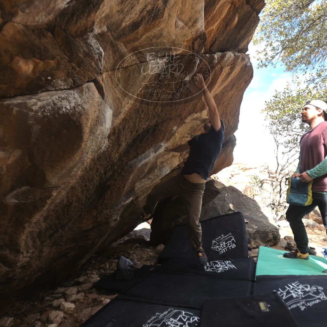 

Filename: SRM_20230309_1058461.jpg
Aperture: f/2.8
Shutter Speed: 1/320
Body: Canon EOS R6
Lens: Canon EF 16-35mm f/2.8 L