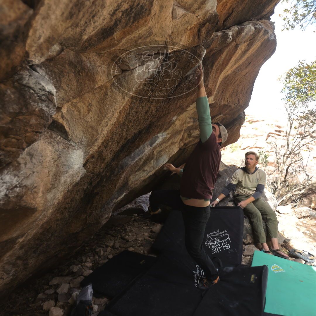 

Filename: SRM_20230309_1104451.jpg
Aperture: f/2.8
Shutter Speed: 1/320
Body: Canon EOS R6
Lens: Canon EF 16-35mm f/2.8 L