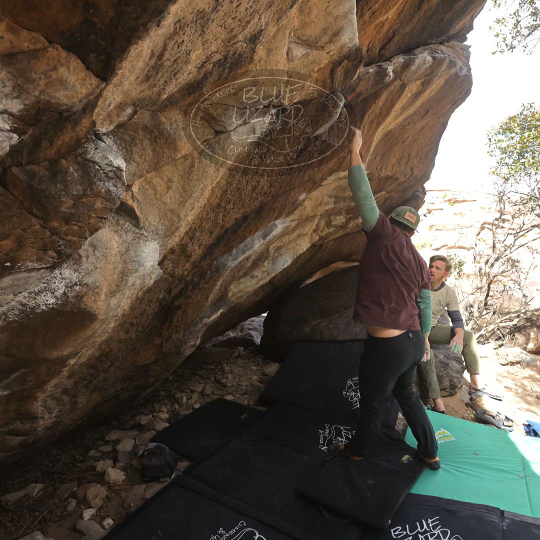 

Filename: SRM_20230309_1105321.jpg
Aperture: f/5.6
Shutter Speed: 1/500
Body: Canon EOS R6
Lens: Canon EF 16-35mm f/2.8 L