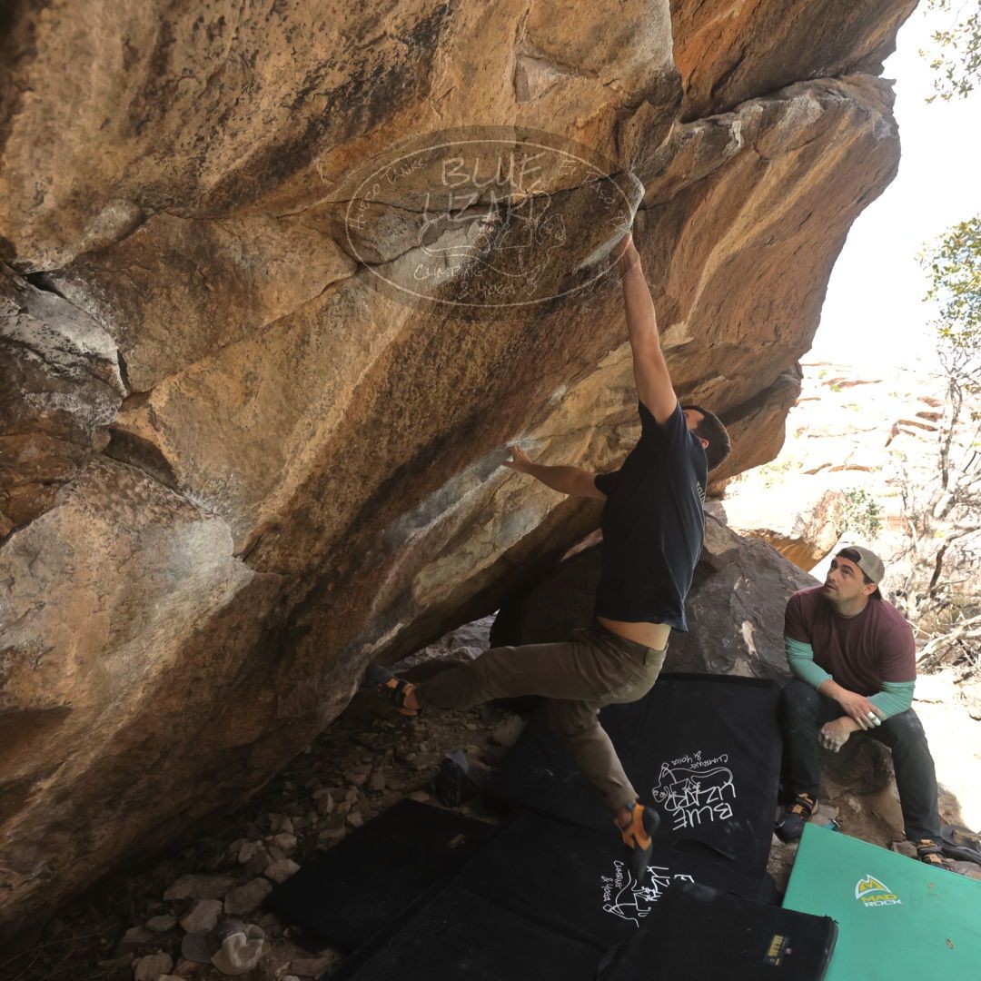 

Filename: SRM_20230309_1108252.jpg
Aperture: f/5.6
Shutter Speed: 1/500
Body: Canon EOS R6
Lens: Canon EF 16-35mm f/2.8 L