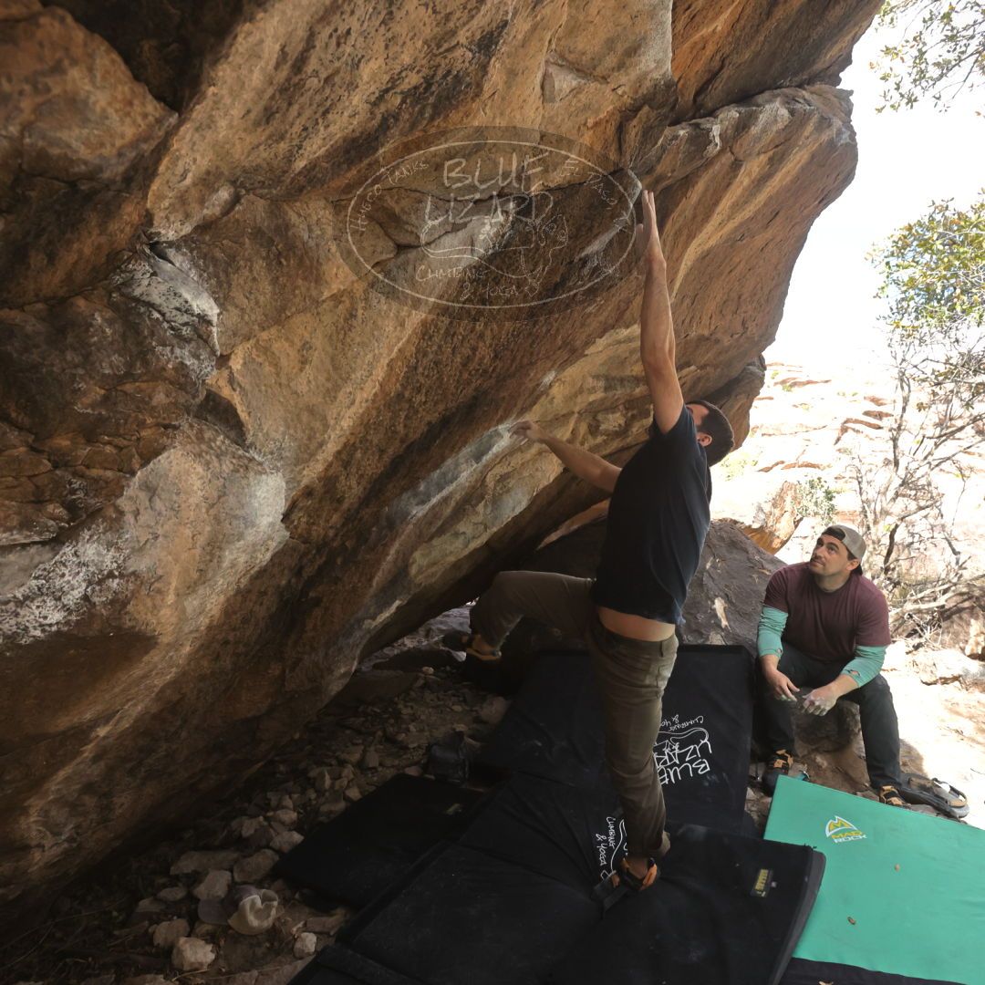 

Filename: SRM_20230309_1110131.jpg
Aperture: f/5.6
Shutter Speed: 1/500
Body: Canon EOS R6
Lens: Canon EF 16-35mm f/2.8 L