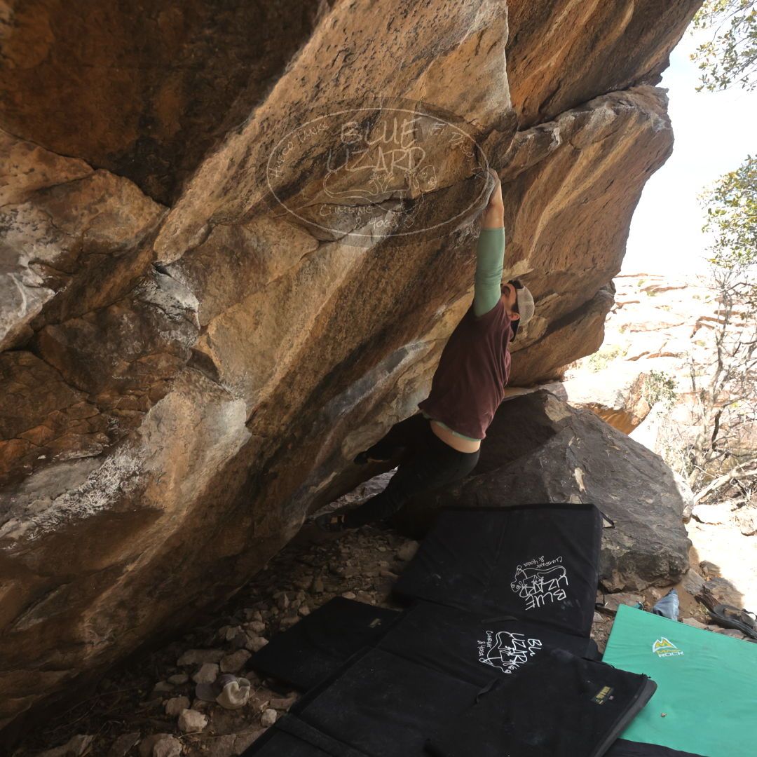 

Filename: SRM_20230309_1111490.jpg
Aperture: f/5.6
Shutter Speed: 1/500
Body: Canon EOS R6
Lens: Canon EF 16-35mm f/2.8 L