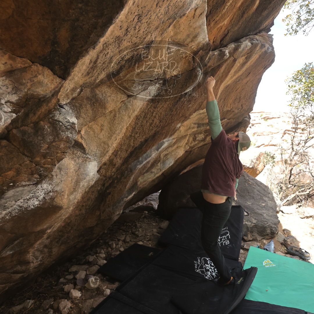 

Filename: SRM_20230309_1111492.jpg
Aperture: f/5.6
Shutter Speed: 1/500
Body: Canon EOS R6
Lens: Canon EF 16-35mm f/2.8 L