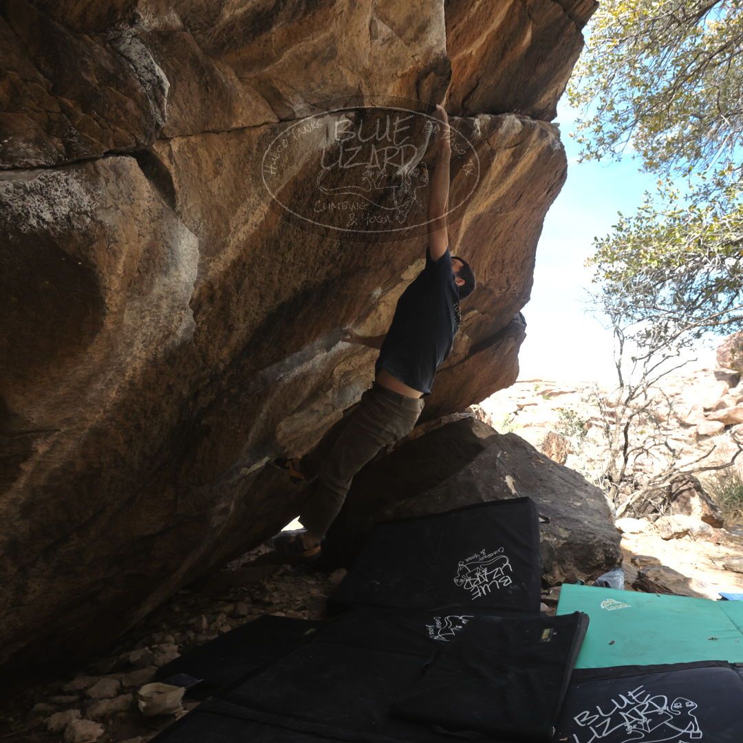 

Filename: SRM_20230309_1115572.jpg
Aperture: f/5.6
Shutter Speed: 1/500
Body: Canon EOS R6
Lens: Canon EF 16-35mm f/2.8 L