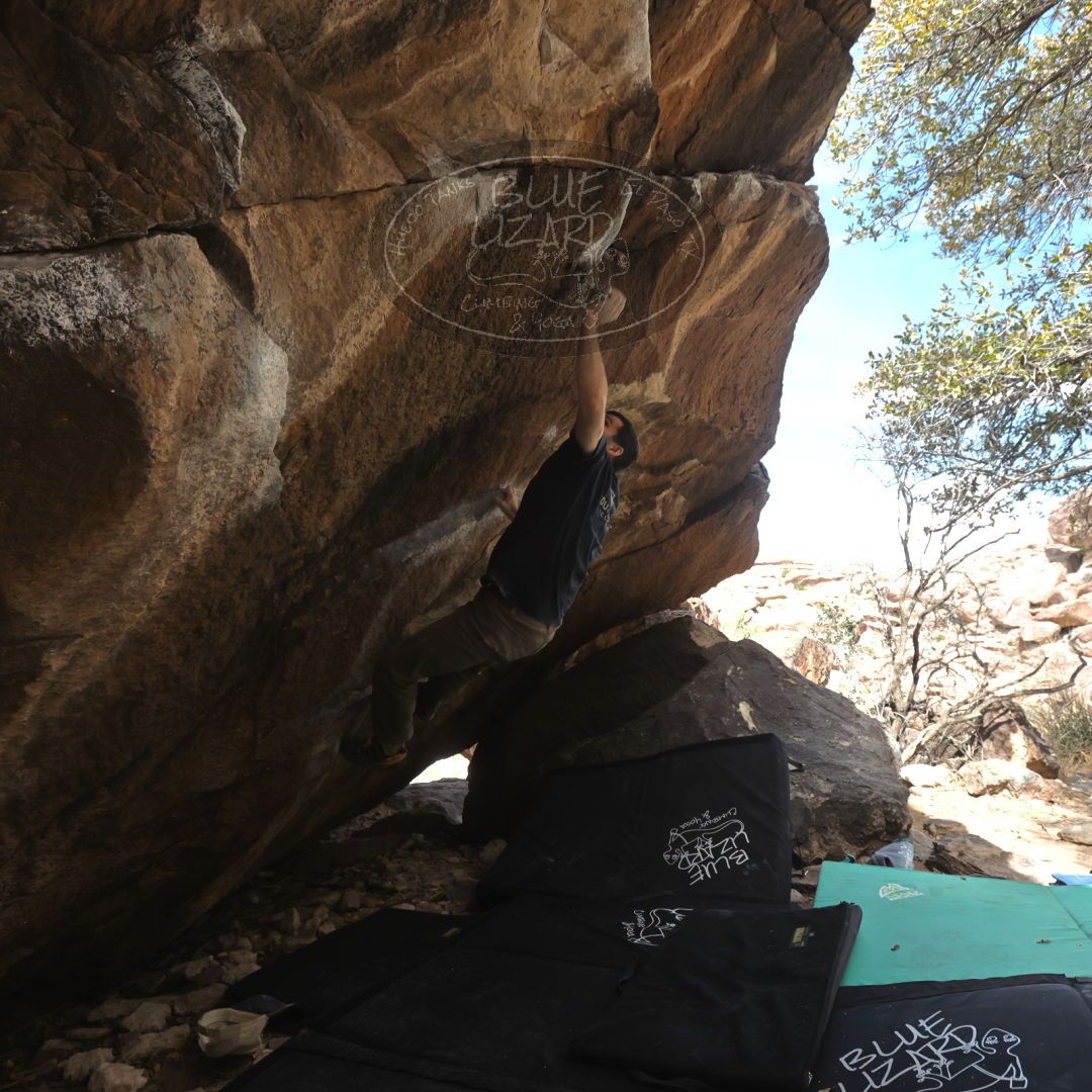 

Filename: SRM_20230309_1115573.jpg
Aperture: f/5.6
Shutter Speed: 1/500
Body: Canon EOS R6
Lens: Canon EF 16-35mm f/2.8 L