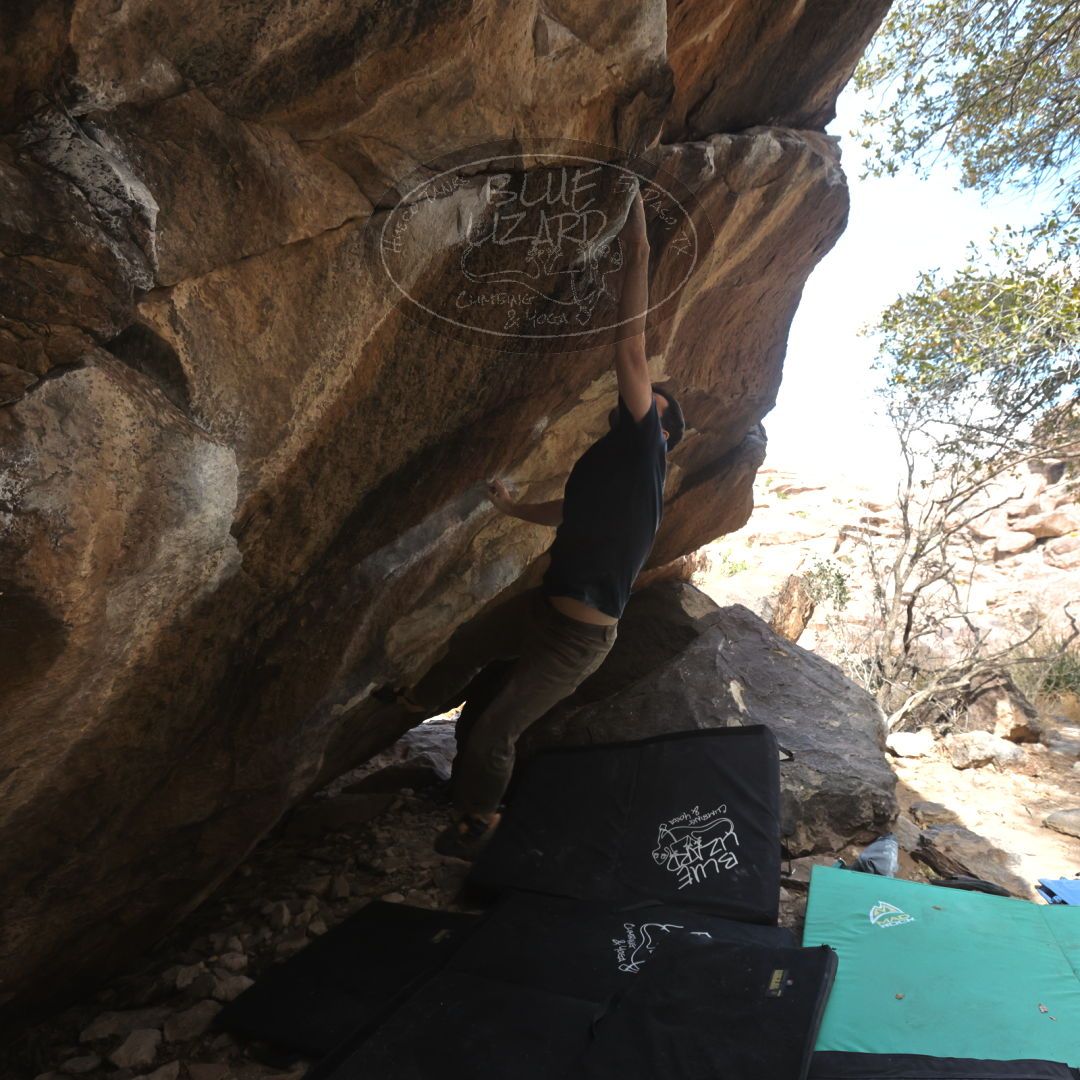 

Filename: SRM_20230309_1117390.jpg
Aperture: f/5.6
Shutter Speed: 1/500
Body: Canon EOS R6
Lens: Canon EF 16-35mm f/2.8 L