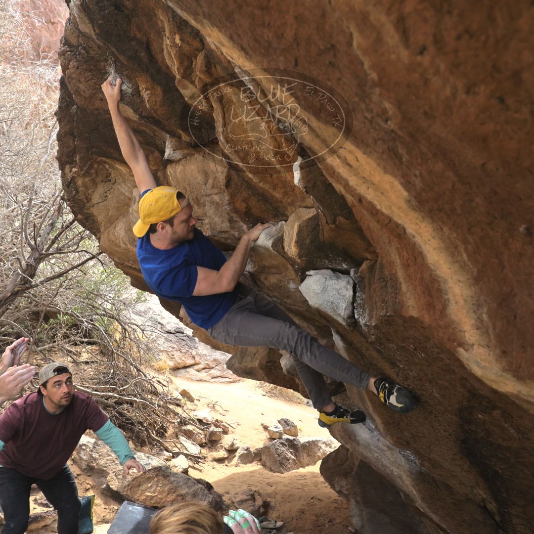 

Filename: SRM_20230309_1135450.jpg
Aperture: f/5.6
Shutter Speed: 1/400
Body: Canon EOS R6
Lens: Canon EF 16-35mm f/2.8 L