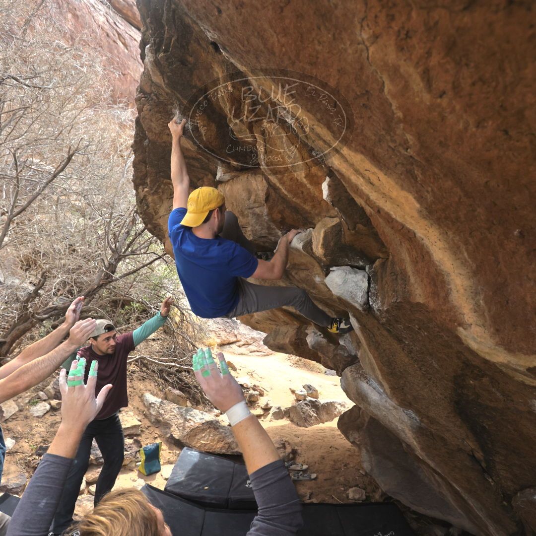 

Filename: SRM_20230309_1135540.jpg
Aperture: f/5.6
Shutter Speed: 1/400
Body: Canon EOS R6
Lens: Canon EF 16-35mm f/2.8 L