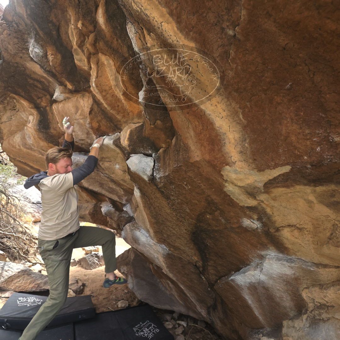 

Filename: SRM_20230309_1146560.jpg
Aperture: f/5.6
Shutter Speed: 1/400
Body: Canon EOS R6
Lens: Canon EF 16-35mm f/2.8 L