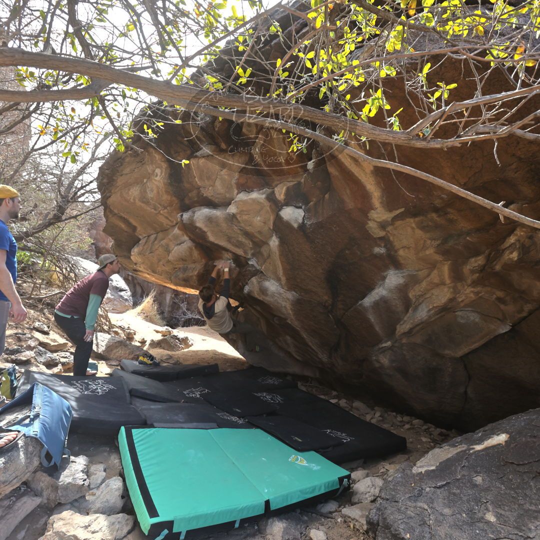 

Filename: SRM_20230309_1157190.jpg
Aperture: f/5.6
Shutter Speed: 1/400
Body: Canon EOS R6
Lens: Canon EF 16-35mm f/2.8 L