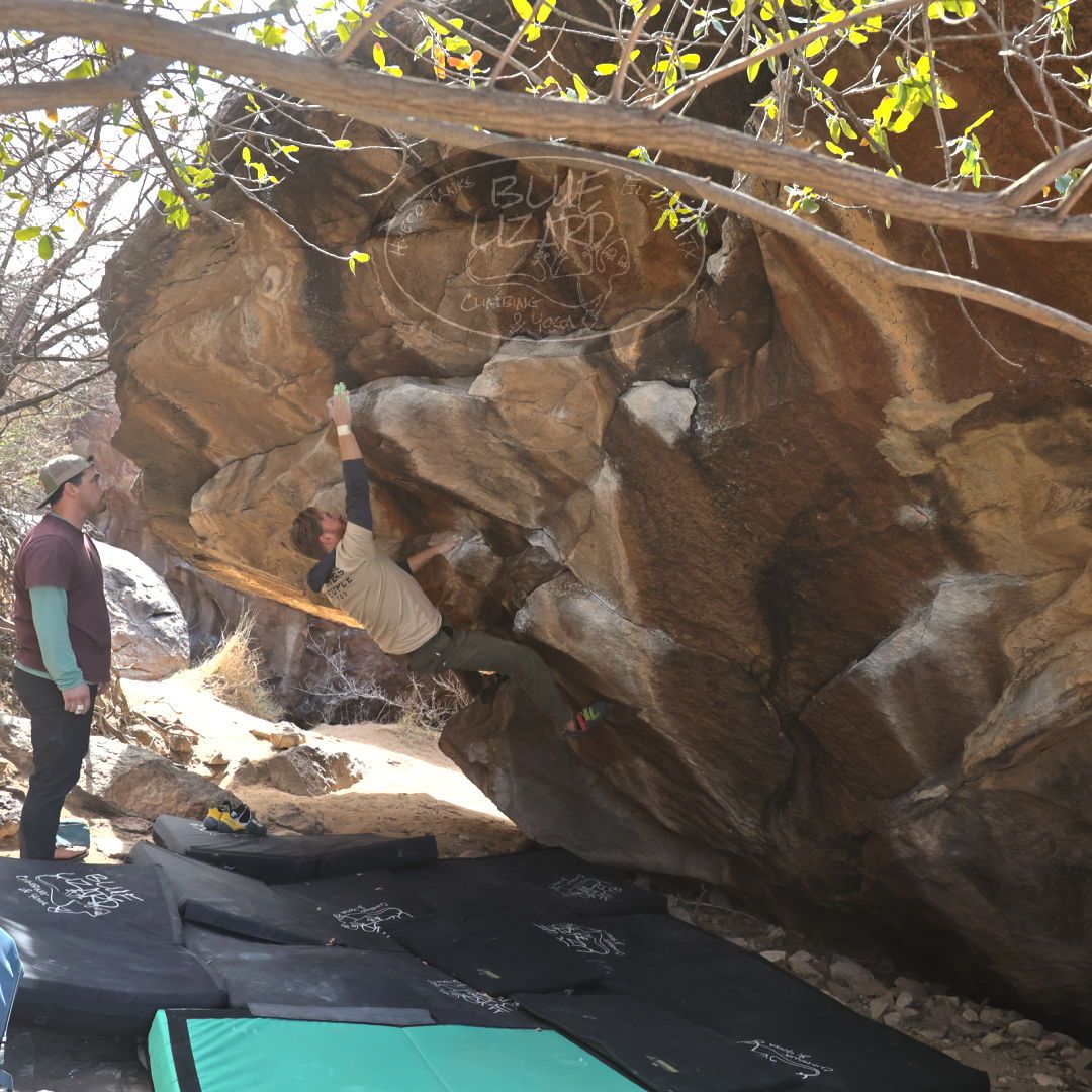 

Filename: SRM_20230309_1157230.jpg
Aperture: f/5.6
Shutter Speed: 1/400
Body: Canon EOS R6
Lens: Canon EF 16-35mm f/2.8 L