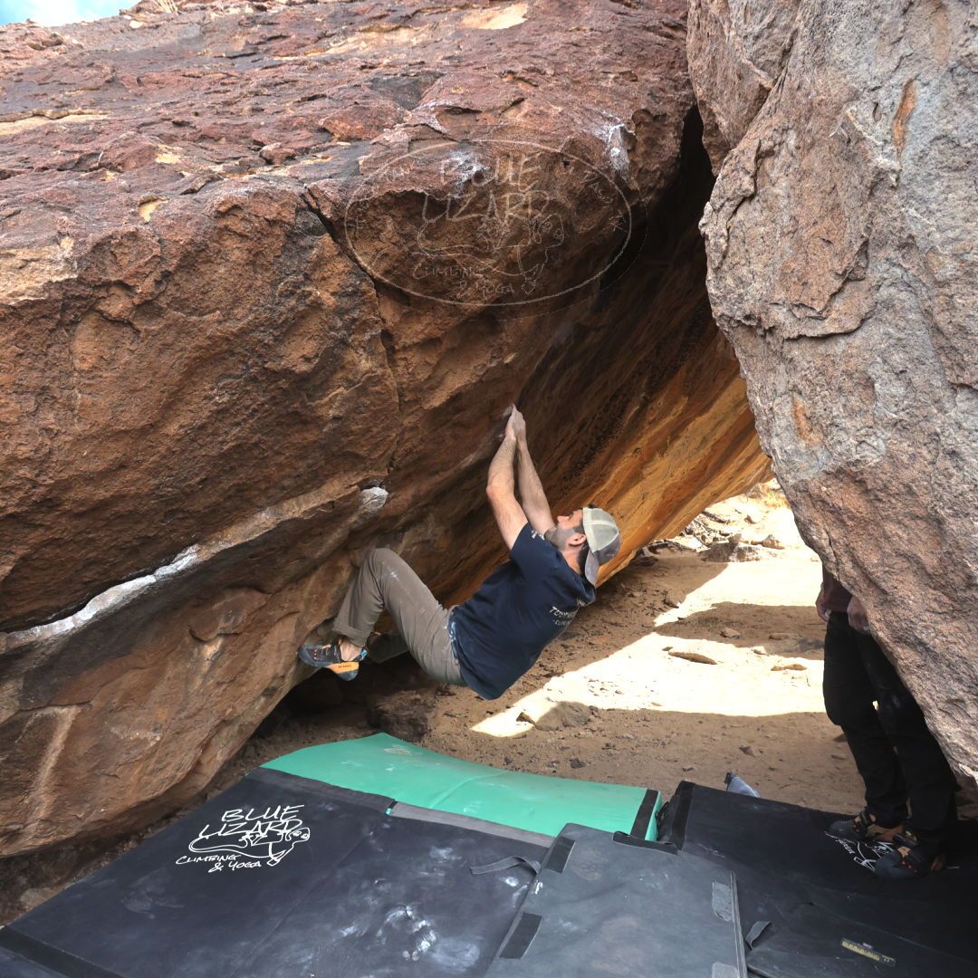 

Filename: SRM_20230309_1219130.jpg
Aperture: f/5.6
Shutter Speed: 1/320
Body: Canon EOS R6
Lens: Canon EF 16-35mm f/2.8 L