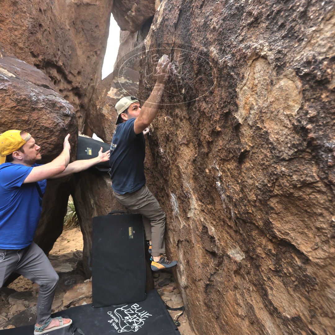 

Filename: SRM_20230309_1259130.jpg
Aperture: f/5.6
Shutter Speed: 1/320
Body: Canon EOS R6
Lens: Canon EF 16-35mm f/2.8 L