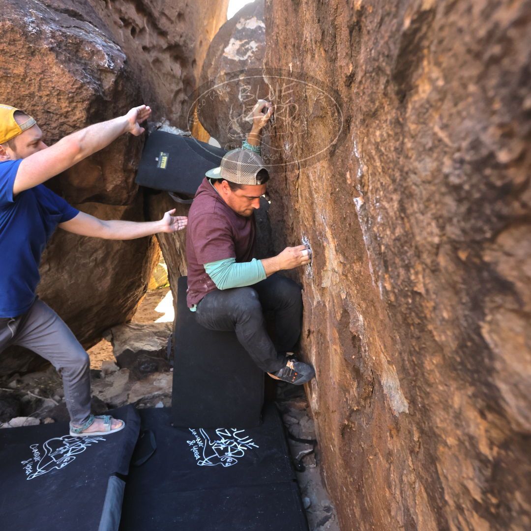 

Filename: SRM_20230309_1308360.jpg
Aperture: f/5.6
Shutter Speed: 1/320
Body: Canon EOS R6
Lens: Canon EF 16-35mm f/2.8 L