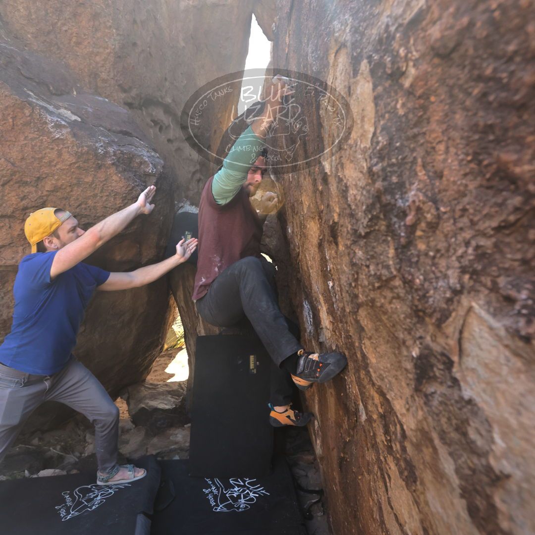 

Filename: SRM_20230309_1308420.jpg
Aperture: f/5.6
Shutter Speed: 1/320
Body: Canon EOS R6
Lens: Canon EF 16-35mm f/2.8 L