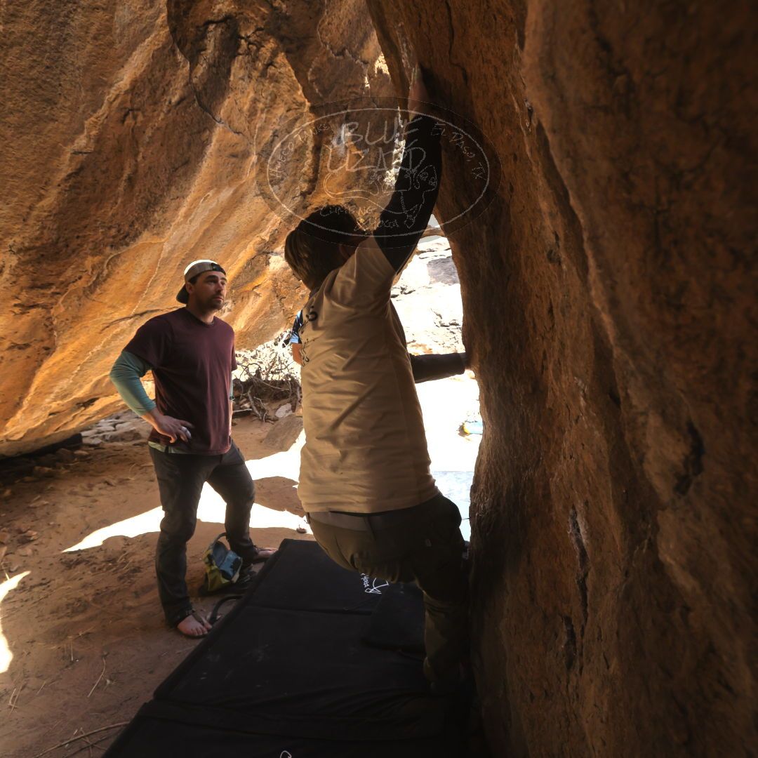 

Filename: SRM_20230309_1319330.jpg
Aperture: f/5.6
Shutter Speed: 1/320
Body: Canon EOS R6
Lens: Canon EF 16-35mm f/2.8 L