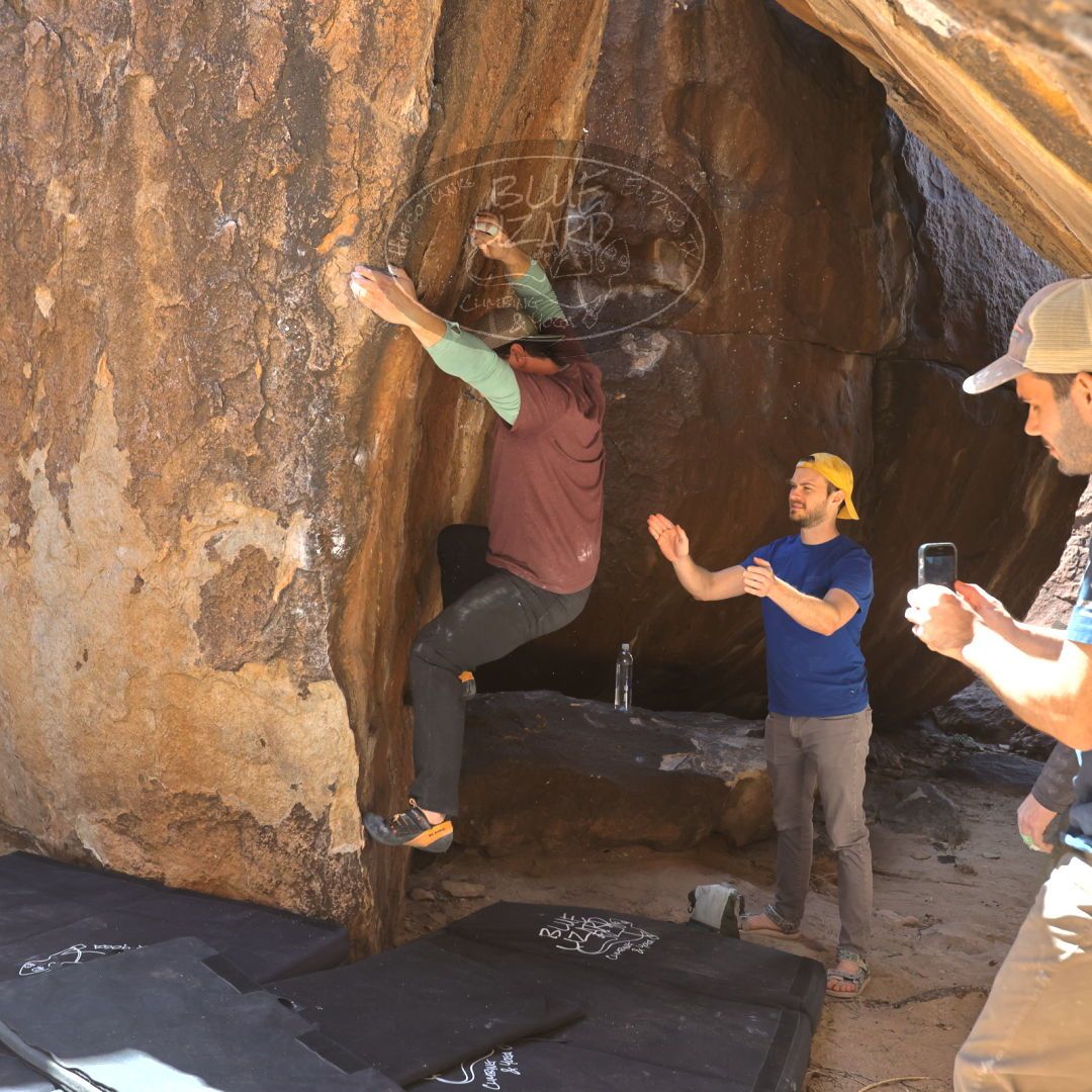 

Filename: SRM_20230309_1327460.jpg
Aperture: f/5.6
Shutter Speed: 1/320
Body: Canon EOS R6
Lens: Canon EF 16-35mm f/2.8 L