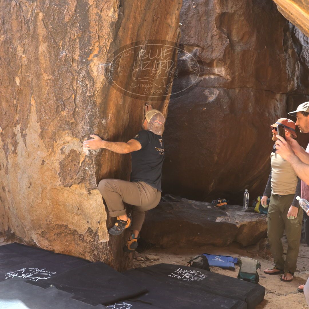 

Filename: SRM_20230309_1334280.jpg
Aperture: f/5.6
Shutter Speed: 1/320
Body: Canon EOS R6
Lens: Canon EF 16-35mm f/2.8 L