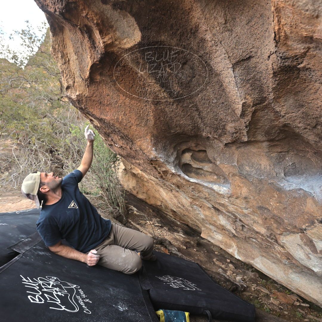 

Filename: SRM_20230309_1435100.jpg
Aperture: f/5.6
Shutter Speed: 1/320
Body: Canon EOS R6
Lens: Canon EF 16-35mm f/2.8 L