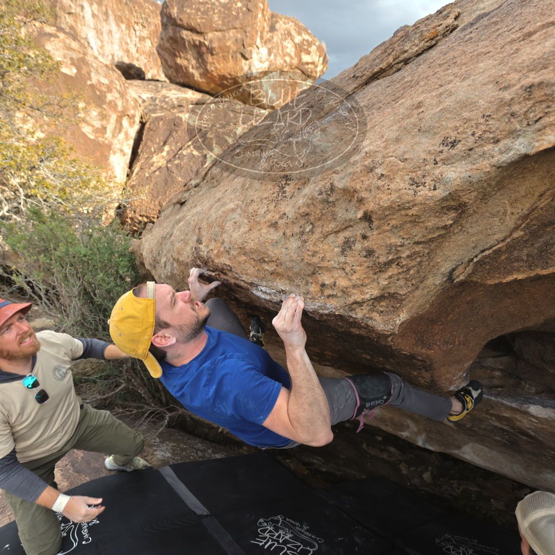 

Filename: SRM_20230309_1637440.jpg
Aperture: f/5.6
Shutter Speed: 1/320
Body: Canon EOS R6
Lens: Canon EF 16-35mm f/2.8 L