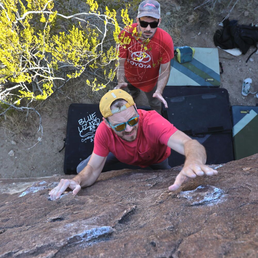 

Filename: SRM_20230308_0940201.jpg
Aperture: f/5.6
Shutter Speed: 1/320
Body: Canon EOS R6
Lens: Canon EF 16-35mm f/2.8 L