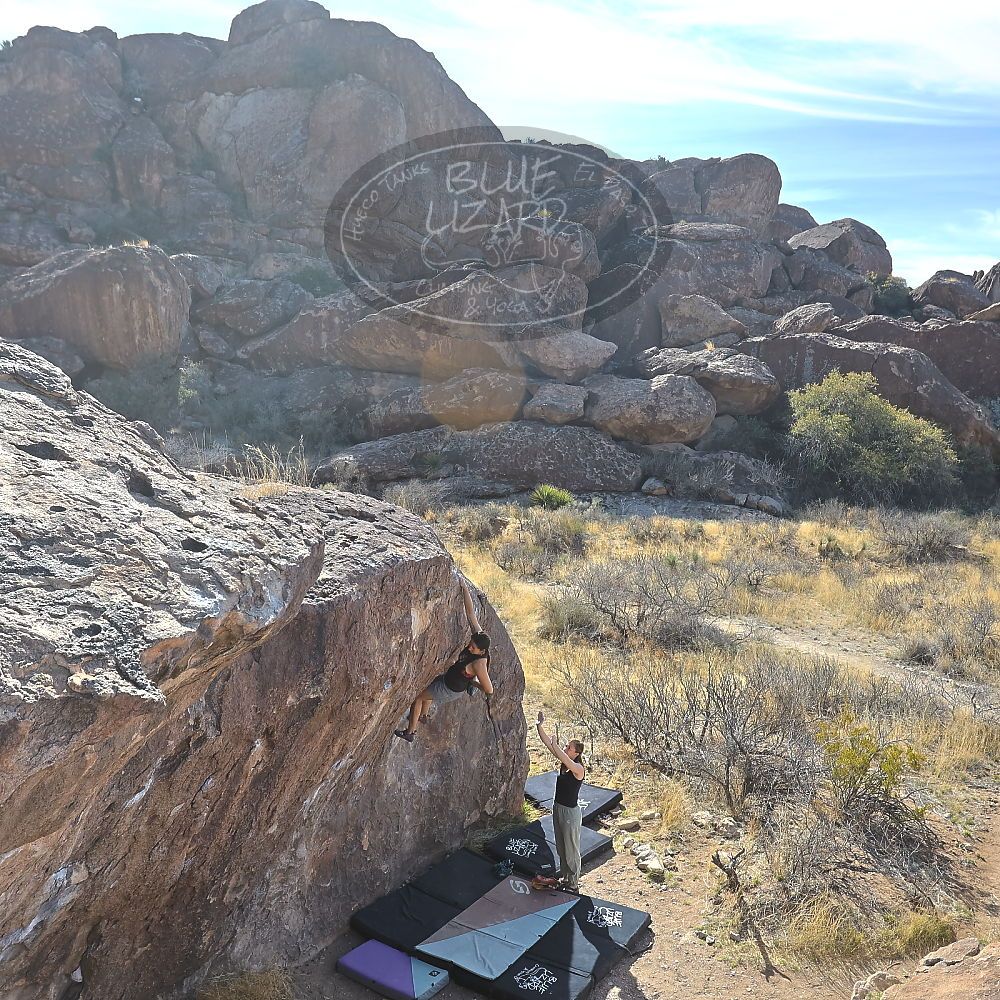 

Filename: SRM_20230308_0946110.jpg
Aperture: f/5.6
Shutter Speed: 1/320
Body: Canon EOS R6
Lens: Canon EF 16-35mm f/2.8 L