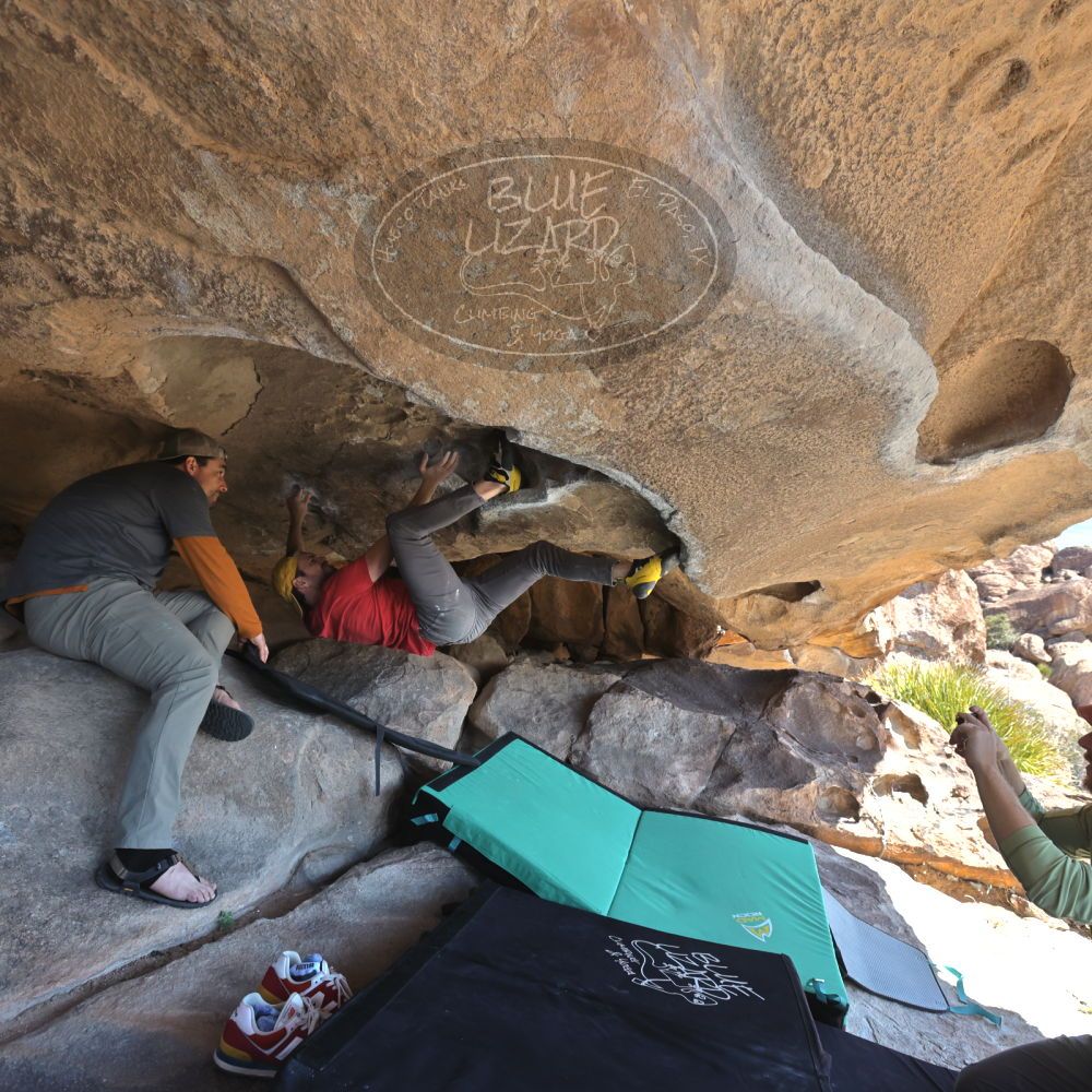 

Filename: SRM_20230308_1122090.jpg
Aperture: f/5.6
Shutter Speed: 1/320
Body: Canon EOS R6
Lens: Canon EF 16-35mm f/2.8 L