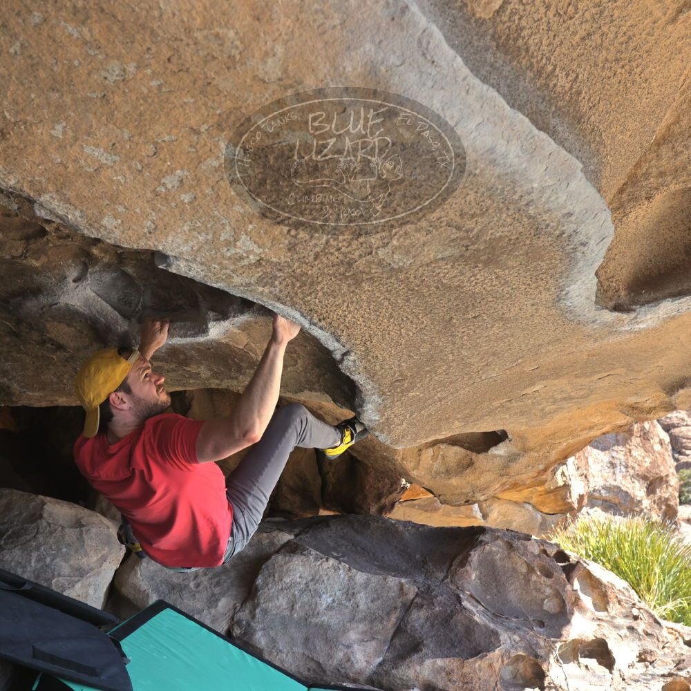 

Filename: SRM_20230308_1122230.jpg
Aperture: f/5.6
Shutter Speed: 1/320
Body: Canon EOS R6
Lens: Canon EF 16-35mm f/2.8 L